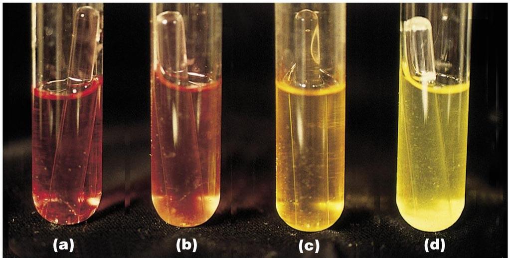 Test fermentacije (a) Neinokulisana epruveta koja sadţi medijum sa ugljenim hidratom