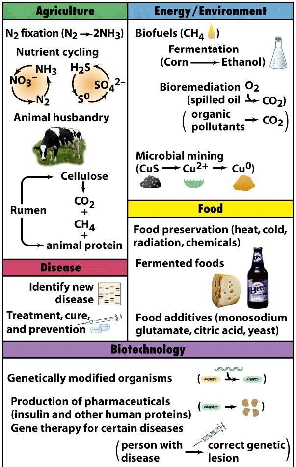 Znaĉaj mikroorganizama Oboljenja Poljoprivreda