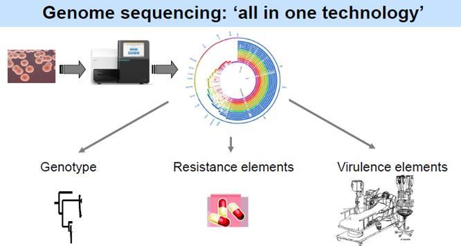 37 Whole genome sequencing Ταχεία αλληλούχιση όλου του γονιδιώματος Ύψιστο επίπεδο διακριτικής ικανότητας