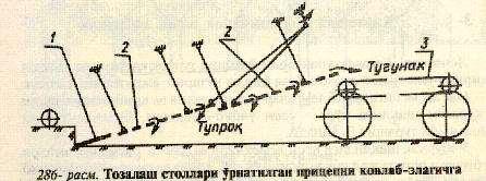 кепчигичлардир.