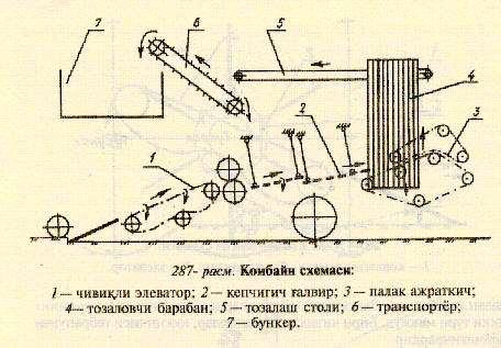 Кейинчалик, картошка кулда териб олинади. Огир тупрок шароитида картошкани етарли даражада тозалаш максадида ковлаб-элагичларга иккита ѐки учта кепчигич урнатилади.
