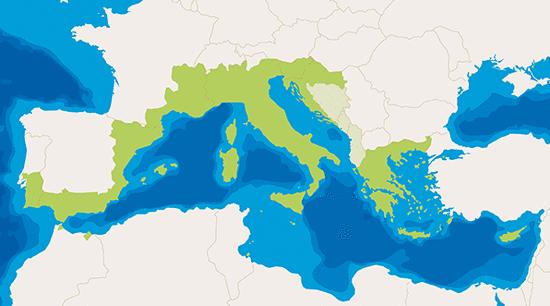 ΠΡΌΓΡΑΜΜΑ INTERREG MED Στόχος: Προώθηση αειφόρου ανάπτυξης στην περιοχή της Μεσογείου: Υιοθετώντας καινοτόμες ιδέες και