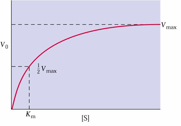 - prenašalci - Michaelis-Menten-ova kinetika (V max, K m ) Modifikacije povečanje V max zmanjšanje K m povečana ekspresija za