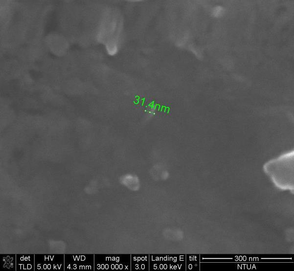 5 nm αντίστοιχα. Η μίξη των νανοσωλήνων με τη μήτρα έγινε με μείκτη Brabender σε θερμοκρασία 140 C.