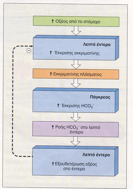 Ορμονική ρύθμιση παγκρεατικής