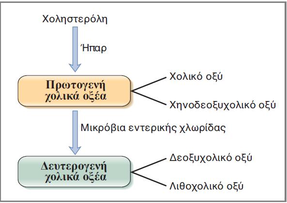 Οδοί