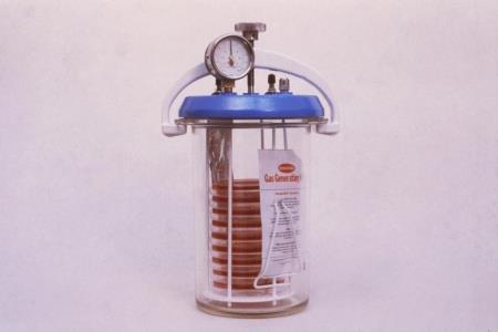 Αποικίες Clostridium σε TSC agar Εικόνα 9.