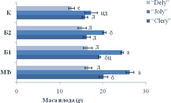 Резултати истраживања Граф. 5 Интеракцијски ефекат сорте и типа ђубрива на масу плода јагоде у 2013.