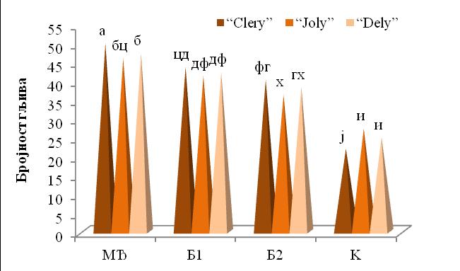 Резултати истраживања Граф. 20 Интеракцијски ефекат сорте и типа ђубрива на бројност гљива у 2011. години (МЂ минерално ђубриво; Б1 биофертилизаторо 1; Б2 биофертилизатор 2; К контрола).
