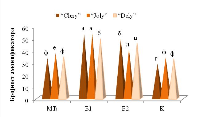Резултати истраживања Граф. 21 Интеракцијски ефекат сорте и ђубрива на бројност амонификатора у 2011. години (МЂ минерално ђубриво; Б1 биофертилизатор 1; Б2 биофертилизатор 2; К контрола).
