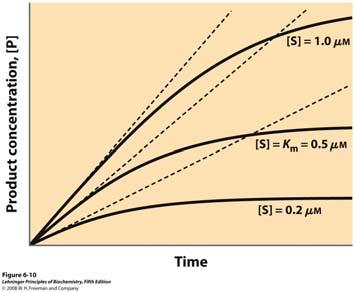 Za reakciju S P početne brzine enzimom katalizirane reakcije, v o, su tangente krivulja u vrijeme t = 0.
