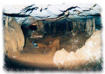 Π.5.9 Σπήλαιο το Ευριπίδη Η ανασκαφή του «Σπηλαίου του Ευριπίδη» στη περιοχή Περιστέρια Σαλαμίνας πραγματοποιήθηκε από τον επίκουρο καθηγητή Προϊστορικής αρχαιολογίας του Πανεπιστημίου Ιωαννίνων κ.