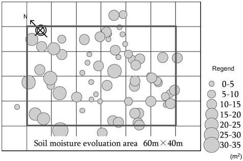 28 +*2,**2 Fig. / / Groundwater recharge evaluation area in the study forest and the estimated distribution of representative stemflow infiltration contribution area. Herwitz, S.R.