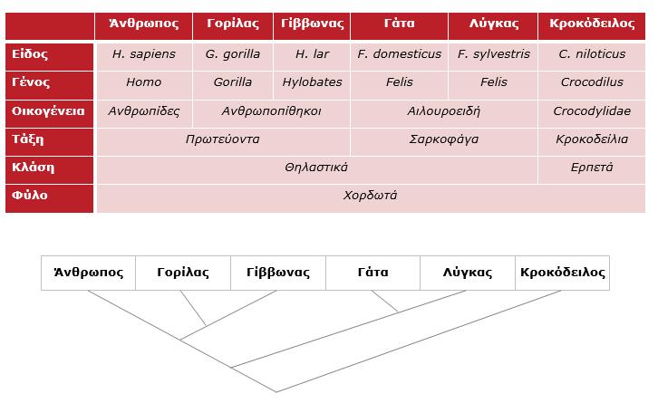 Συστηματική κατάταξη