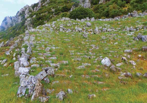 34 Το μεγάλο θέατρο της Κασσώπης τυγχανόταν μέσω των ίδιων κλιμάκων αλλά και των προαναφερθέντων πιθανών ανοιγμάτων στα άκρα των δύο διαδρόμων-διαζωμάτων του κοίλου και των αντίστοιχων προσβάσεων