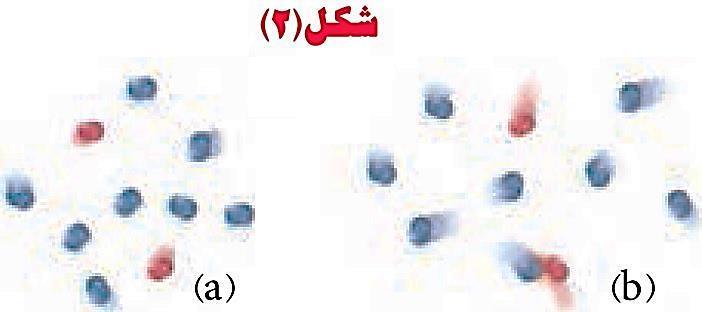 .. aq... s ( ) 4( ) ( ) ( ) (II) Zn( s) MgSO4 ( aq) واکنش نمیدهد ب( با نوشتن دلیل ترتیب واکنشپذیری سه فلز روی آهن و منیزیم را مقایسه کنید.