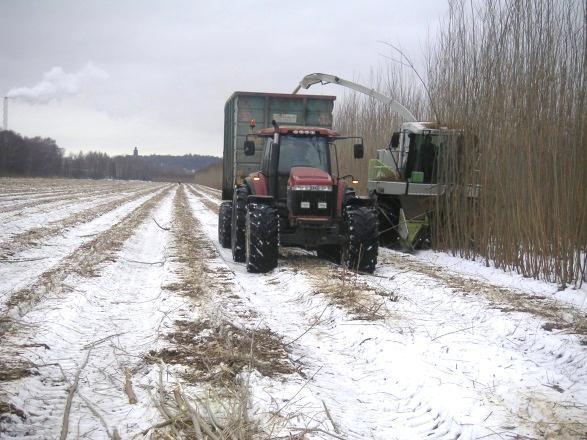 ) Слика 9: Берба на голема плантажа со врба лоцирана блиску до комбинирана постројка за производство на топлина и електрична енергија (оџакот во левиот