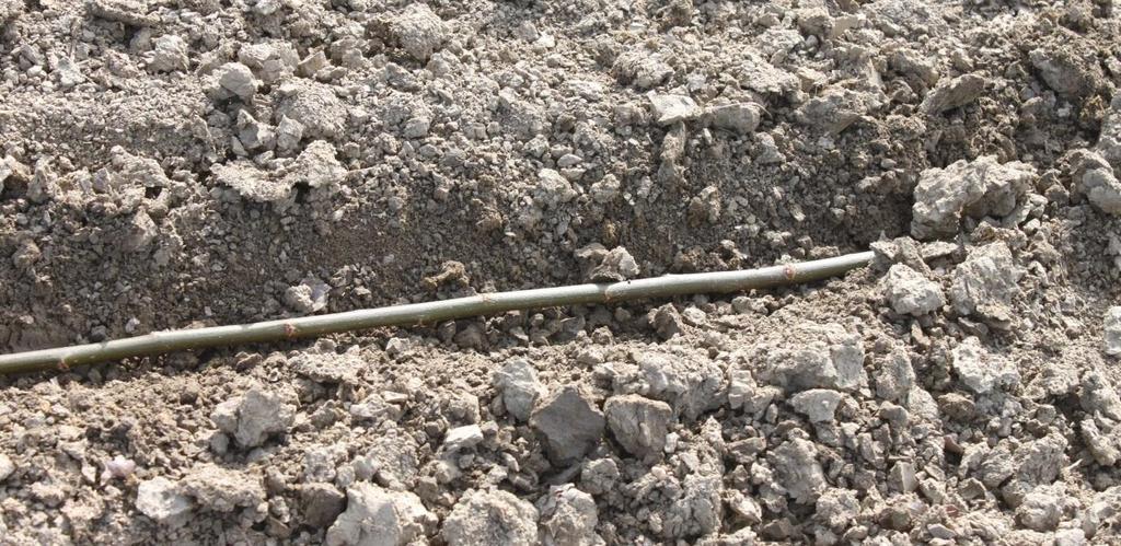 површината на почвата треба да се израмни за да се обезбедат услови за примена на резидуални хербициди.