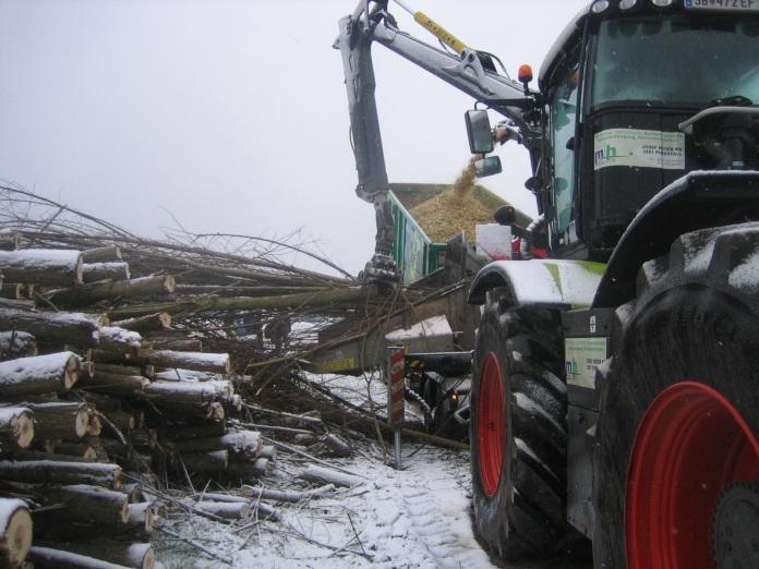 ) Слика 44: Собрана плантажа со врба КРР во зима, во Шведска: видливи се дуплите редови (Извор: Rutz D.