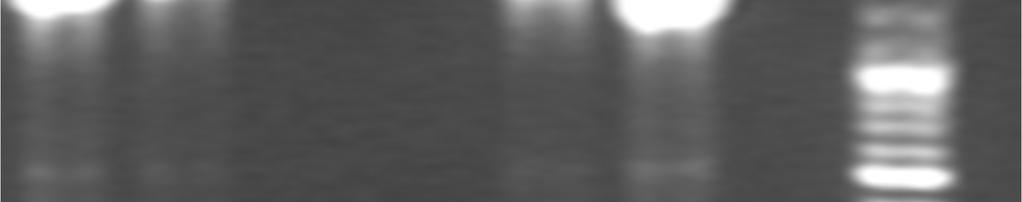 273 274 130 288 trc285 trc134 blank