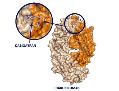 Το idarucizumab χορηγείται ενδοφλέβια.