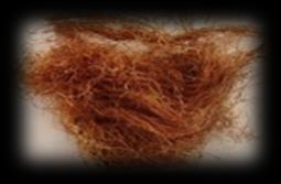 2011) (Saffron in Europe 2006) (Torelli et al. 2014) (Hagh-Nazari et al. 2006) (Che et al.