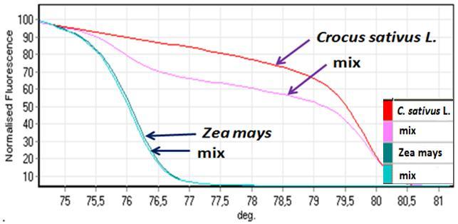 *mix: Crocus sativus L. + Zea mays Σχήμα 5: Καμπύλες τήξης (α) και καμπύλες HRM οι οποίες έχουν υποστεί κανονικοποίηση (με τη χρήση του λογισμικού της HRM) (β) δύο διαφορετικών ειδών (C. sativus L. και Zea Mays) και ενός μίγματος 1:1 των ειδών αυτών χρησιμοποιώντας ειδικά σχεδιασμένους εκκινητές για το κάθε είδος χωριστά.