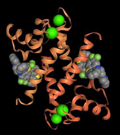 4. Trifluoperazine Οι S100A4 πρωτεΐνες έχει αποδειχθεί ότι σε υψηλές συγκεντρώσεις εμπλέκονται στην εξάπλωση μεταστατικών καρκίνων αλλά και σε πληθώρα άλλων ασθενειών