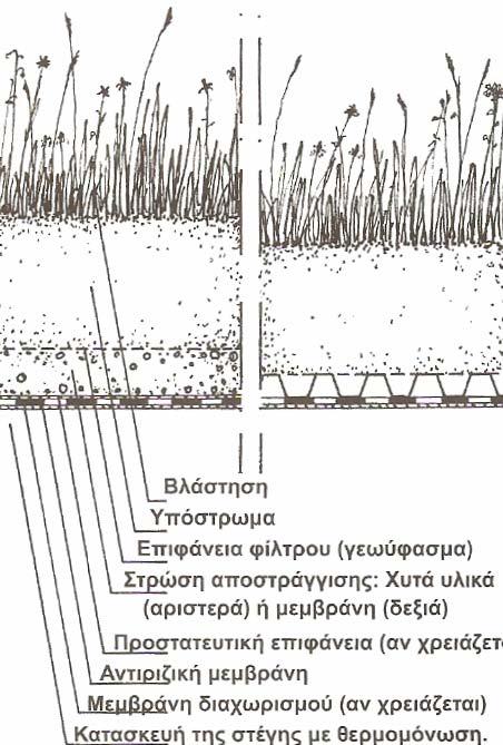 ποωδών φυτών χόρτου βοτάνων. Τότε όμως η πυκνότητα της βλάστησης και Εικόνα?Κατασκευή κεκλιμένης φυτεμένης στέγησ με υπόστρωμα μιας στρώσης Εικόνα?