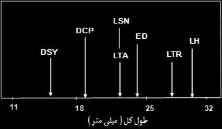 34 شکل 4: طول های کل در هر یک از نقاط عطف رشد ویژگی های مورد مطالعه در ماهی هیبرید تریپلوئید )فیل ماهی