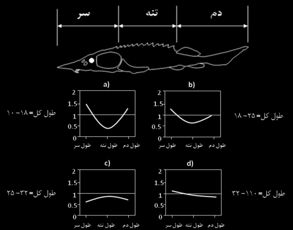 based on Huxley model. الگوی رشد قطر چشم دارای دو مرحله با یک نقطه عطف در روز بیستم پس از تخمگشایی mm( )TL=10/60 بود.