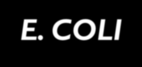 E. COLI