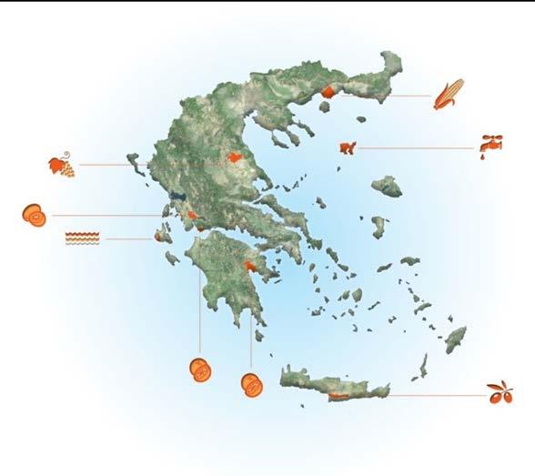 Δημιουργία υπηρεσιών & υποδομών μέσω υλοποίησης προγραμμάτων 27 προσφερόμενες υπηρεσίες σε διαφορετικά επίπεδα και αποδέκτες Ωφελούμενοι υπηρεσιών: Κράτος, Πολίτης, Επιχείρηση Επίπεδο υπηρεσιών