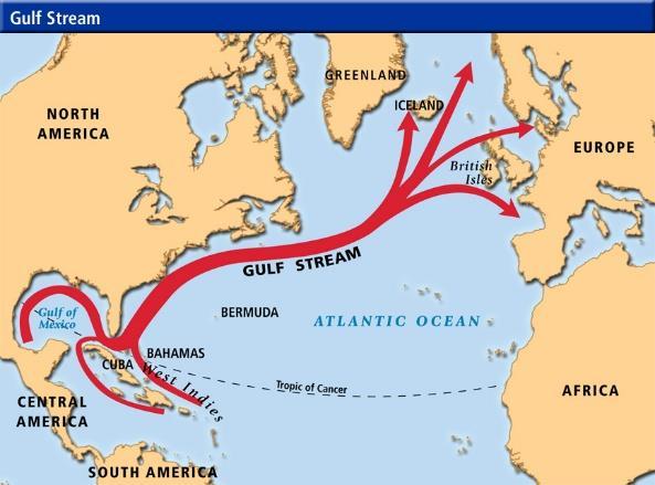 β ) Το ρεύμα του Κόλπου του Μεξικό Το ρεύμα του Κόλπου του Μεξικό, είναι ένα ταχύ και θερμό ρεύμα του Ατλαντικού ωκεανού που προέρχεται από τον Κόλπο του Μεξικού και εκτείνεται στα όρια της της