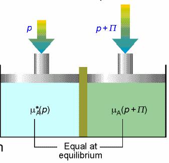 Osmoza-termodinami termodinamičko izvođenje Van t t Hofove jednačine 0 1 x 1, P + Π ) = μ1 ( P + Π ) + RT ln μ ( x 1 0 1 0 1 μ ( P + Π ) = μ ( P) + P+ Π P V