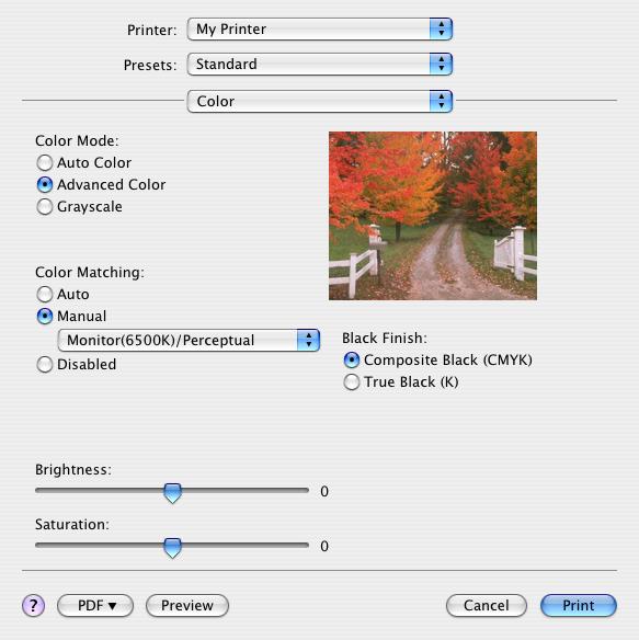 Color (Χρώµα) Color Mode (Κατάσταση χρώµατος) Κατάσταση χρώµατος Advanced Color (Προηγµένο χρώµα) Manual (Μη αυτόµατα) Grayscale (Κλίµακα του γκρι) Περιγραφή Το πρόγραµµα οδήγησης επιλέγει τις πιο