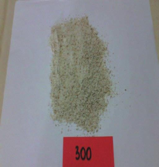 Слика 4: Грахам брашно (300-контрола;301-почвено+фолијарно;302- фолијарно;303-почвено) Нутритивнот состав на