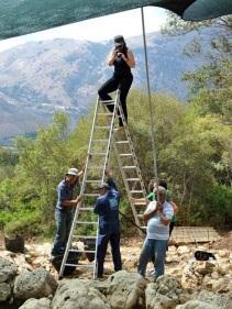 παρατηρήσεις και συμπεράσματα σχετικά με τα ευρήματα. Οι περιγραφές στο ημερολόγιο συνοδεύονται από πρόχειρα σχέδια του σκάμματος και των ευρημάτων.