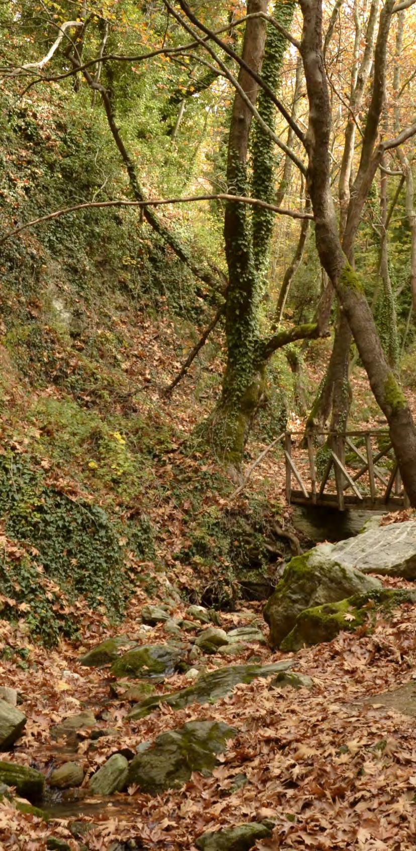 Επιστημονικό Πρόγραμμα Παρασκευή 1 Απριλίου 2016 16.45 17.00 17.00 17.45 Έναρξη Χαιρετισμός Προέδρου Προεδρείο: Θ. Καραχάλιος Οστεοπορωτικό κάταγμα: Η αντιμετώπιση είναι μόνο χειρουργική; Δ.