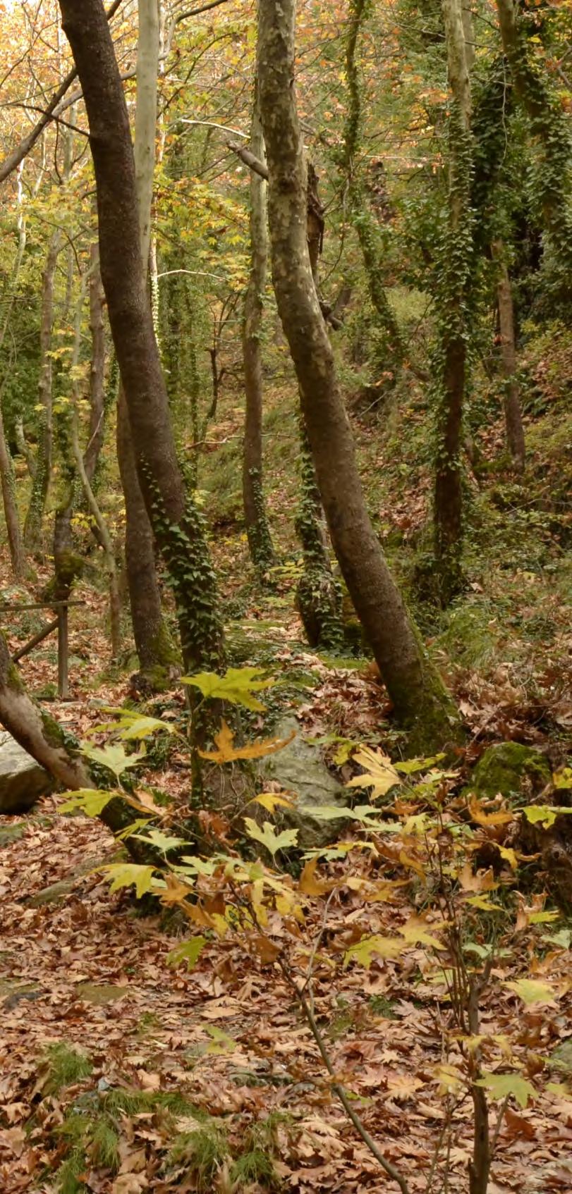 Επιστημονικό Πρόγραμμα Σάββατο 2 Απριλίου 2016 10.30 11.00 Διάλειμμα Καφές 11.00-11.45 13 έτη κλινικής εμπειρίας από τη δράση και αποτελεσματικότητα της αναβολικής θεραπείας Κ. Μαυρουδής 11.45-12.