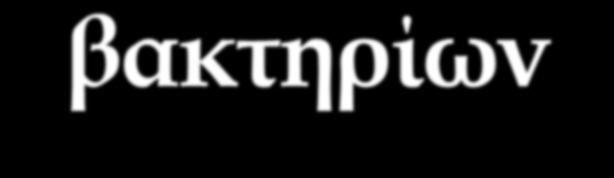 Πνευμονιόκοκκος Αλυσίδες Στρεπτόκοκκοι