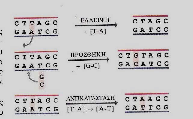 Γονιδιακές µεταλλάξεις Είναι οι αλλαγές που υφίσταται το γενετικό υλικό στο επίπεδο