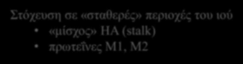 περιοχές του ιού