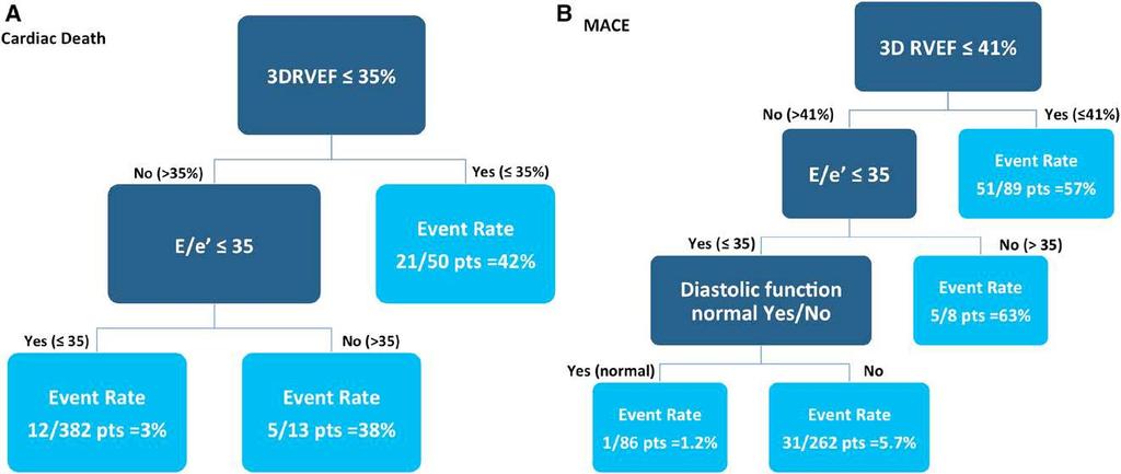 prognostic value of 3DRVEF Nagata