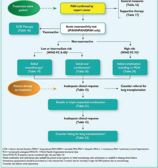 Treatment algorithm from the 2015 European Society of Cardiology/European Respiratory Society guidelines for the diagnosis and
