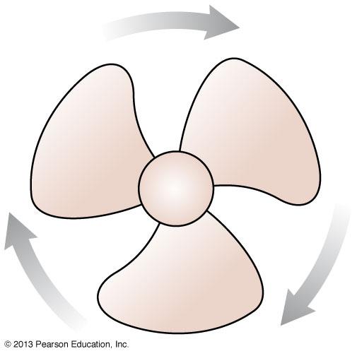 The fan blade is speeding up. What are the signs of ω and α? A. ωisposi0veandαisposi0ve. B.