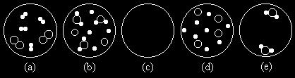 1 b Zväčšený pohľad na parnú fázu znázorňuje obrázok (e), keďže len na tomto obrázku sú len molekuly vody. 1.