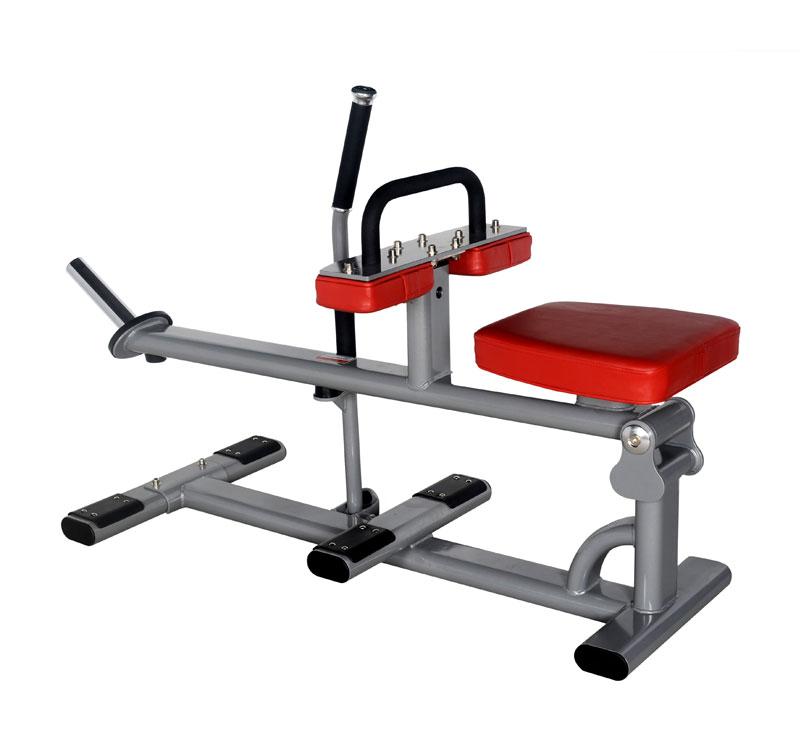 PR 7334 Calf Machine Διαστάσεις