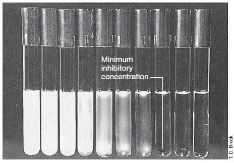 Merenje antimikrobne aktivnosti Minimalna inhibitorna koncentracija (MIC)