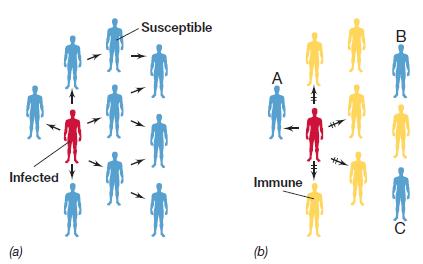 Zajednica domaćina život u ekvilibrijumu za većinu patogena koevolucija sa domaćinom patogeni čiji primarni domaćin nisu ljudi nemaju obzira (Clostridium) grupni imunitet - imunizovane osobe štite